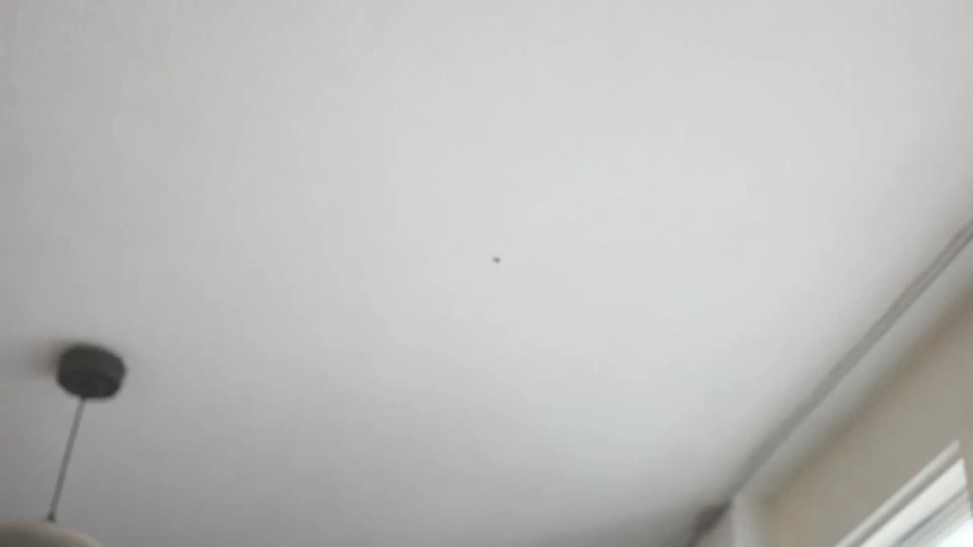 Close-up van een lichte plafond met een wazig, zwevend stipje op de voorgrond, zoals een floater
