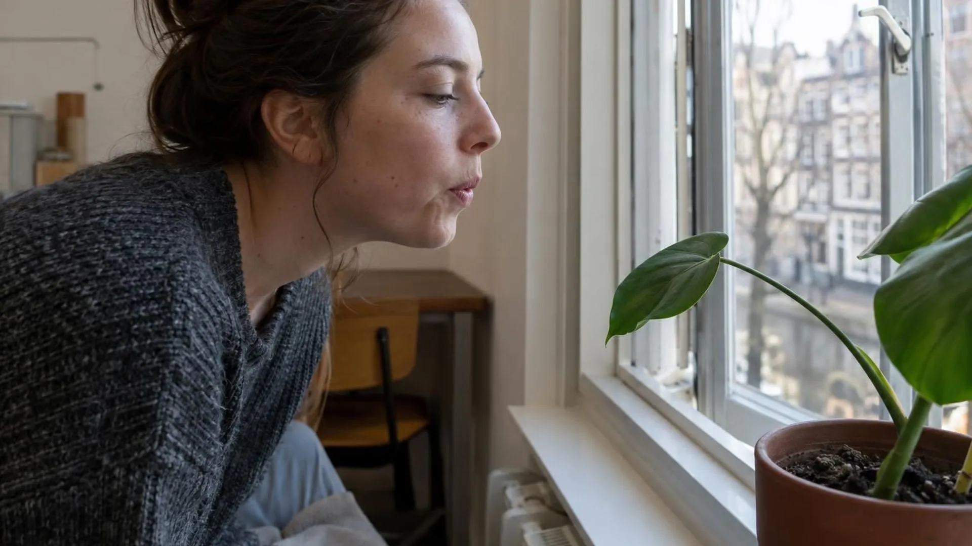 Een plantenblad dat licht beweegt door een langzame uitademing bij een open raam