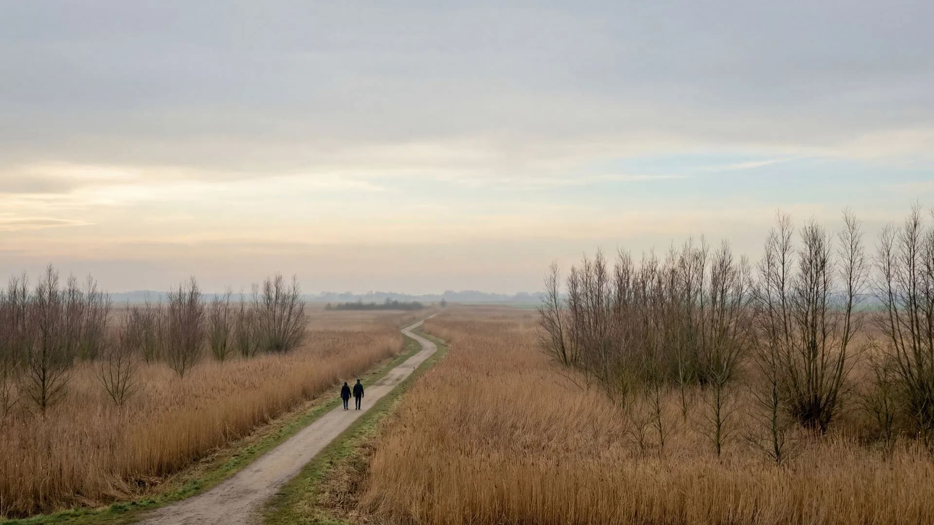 Wandelcoaching bij burn-out en stress in Flevoland