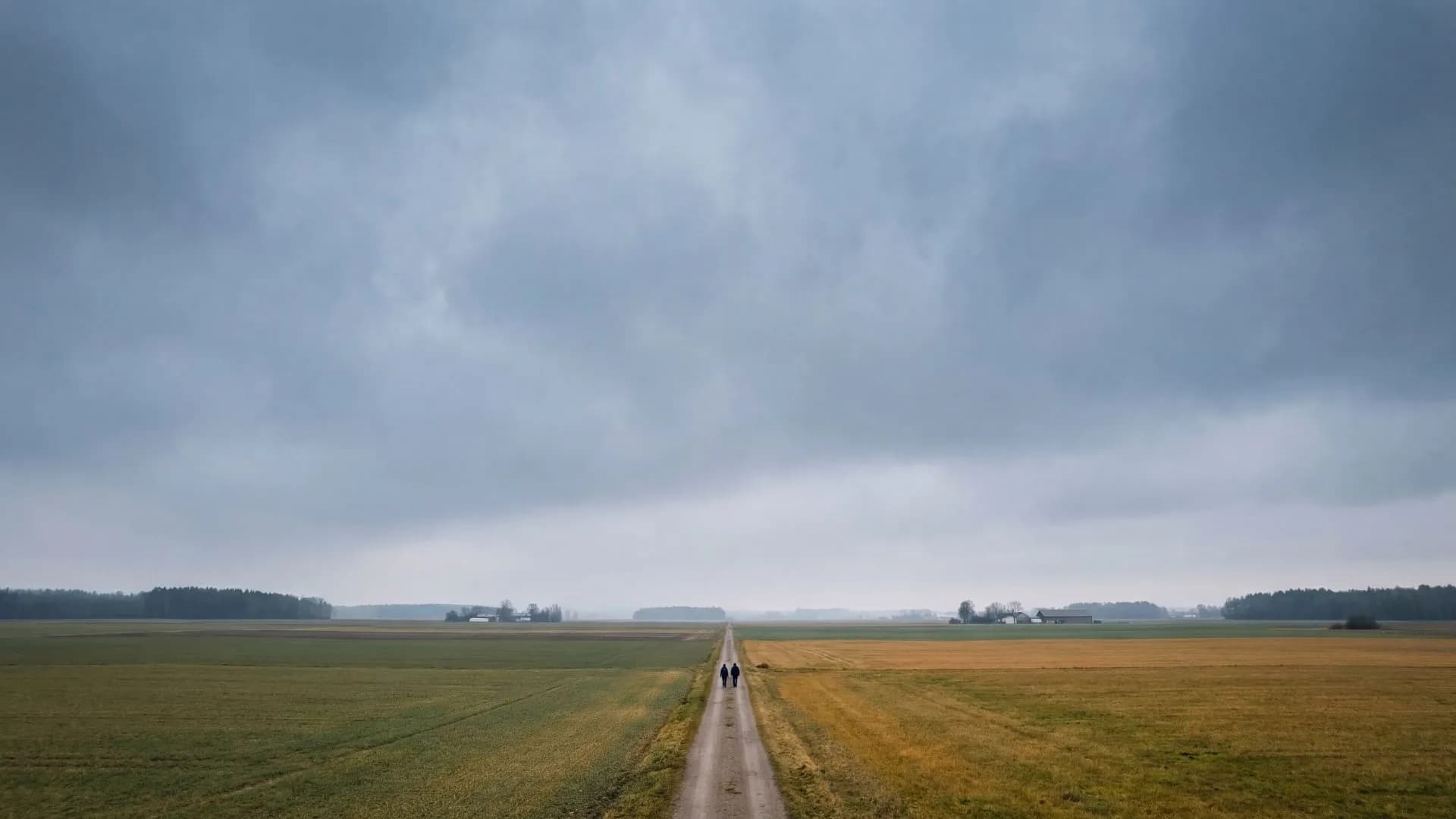 Wandelcoaching bij burn-out en stress in Groningen